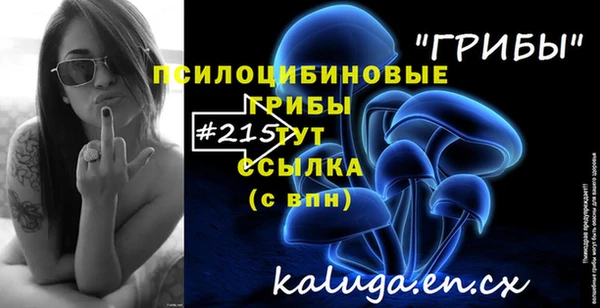 MESCALINE Надым